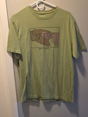 Banana Republic Factory Sage Green Big Sur Graphic Tee